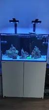 [TodoMarino.com] Vuelta al hobby con Reefer 250