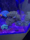 [TodoMarino.com] Regaló colonias de Zoas