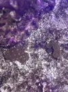 [TodoMarino.com] Vendo Zoas y Sarcopython