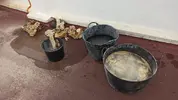 [TodoMarino.com] Mini reef