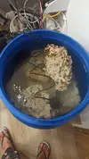 [TodoMarino.com] Mini reef