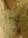 [TodoMarino.com] Que puede ser esto?