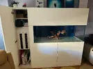 [TodoMarino.com] acuario 500 litros a estrenar