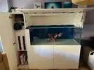 [TodoMarino.com] acuario 500 litros a estrenar