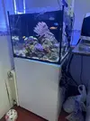 [TodoMarino.com] Red sea de 170l