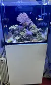 [TodoMarino.com] Red sea de 170l