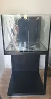 [TodoMarino.com] Nuevo