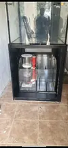 [TodoMarino.com] Nuevo