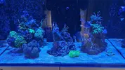 [TodoMarino.com] Vuelta al hobby con Reefer 250