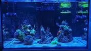 [TodoMarino.com] Vuelta al hobby con Reefer 250