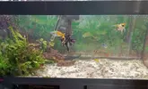 [TodoMarino.com] VENDO ACUARIO VIVALINE 180L. EHEIM