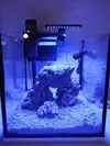 [TodoMarino.com] NANO CUBO DE 60 LTS CON AGUA DE MAR