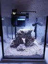 [TodoMarino.com] NANO CUBO DE 60 LTS CON AGUA DE MAR