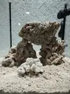 [TodoMarino.com] NANO CUBO DE 60 LTS CON AGUA DE MAR