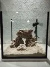 [TodoMarino.com] NANO CUBO DE 60 LTS CON AGUA DE MAR