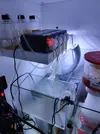 [TodoMarino.com] Vendo Acuario, Bombas, enfriador, radion,skimmer,,,,
