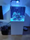 [TodoMarino.com] Vendo Acuario, Bombas, enfriador, radion,skimmer,,,,