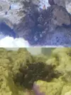 [TodoMarino.com] Hola a todos