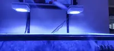 [TodoMarino.com] 2 lámparas Popbloom rs90
