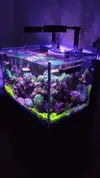 [TodoMarino.com] RedSea Reef 250 + Sump