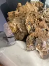 [TodoMarino.com] gusano de fuego