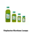 [TodoMarino.com] Mini plumeros