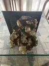 [TodoMarino.com] Pico reef