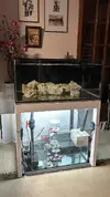 [TodoMarino.com] VENDO Acuario 300L estilo coralero