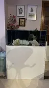 [TodoMarino.com] VENDO Acuario 300L estilo coralero