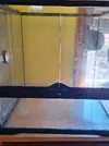 [TodoMarino.com] Algun nuevo pez para acuario de 185 l