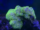 [TodoMarino.com] Desmonte acuario
