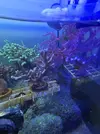 [TodoMarino.com] Venta SPS en Barcelona