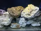 [TodoMarino.com] Acuario 280 litros sin sump