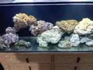 [TodoMarino.com] Acuario 280 litros sin sump