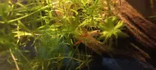 [TodoMarino.com] eco bote 4 litros