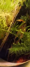 [TodoMarino.com] eco bote 4 litros
