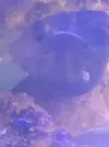 [TodoMarino.com] Erosion lateral y en la zona del ojo