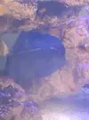 [TodoMarino.com] Erosion lateral y en la zona del ojo