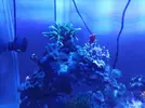 [TodoMarino.com] Hola a todos