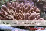 [TodoMarino.com] Fotografias Stock 2, 2006