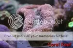 [TodoMarino.com] Fotografias Stock 2, 2006