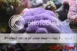 [TodoMarino.com] Fotografias Stock 2, 2006