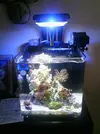 [TodoMarino.com] Os presento mi acuario 120l