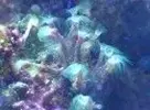 [TodoMarino.com] Ayuda identificar