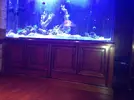 [TodoMarino.com] Acrylic reef