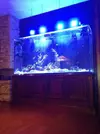 [TodoMarino.com] Acrylic reef