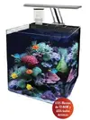 [TodoMarino.com] Nuevo NaNo Reef a un precio.......IRRESITIBLE!!