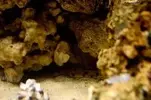 [TodoMarino.com] nuevos en marino y con muchas ganas de compartirlo