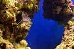 [TodoMarino.com] nuevos en marino y con muchas ganas de compartirlo