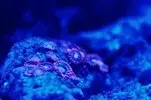 [TodoMarino.com] nuevos en marino y con muchas ganas de compartirlo